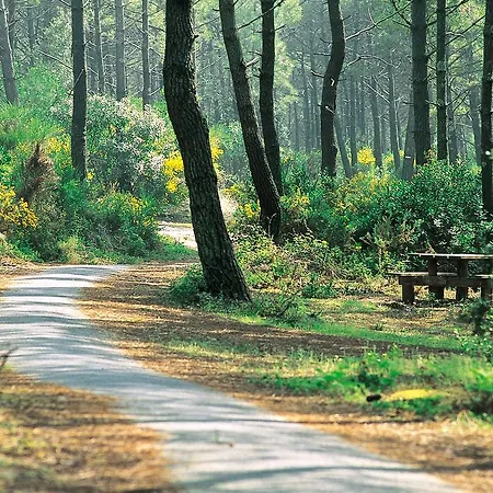 L'embarcadere * Mimizan-Plage