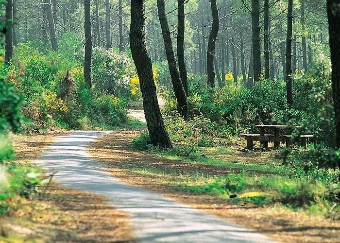 L'embarcadere * Mimizan-Plage